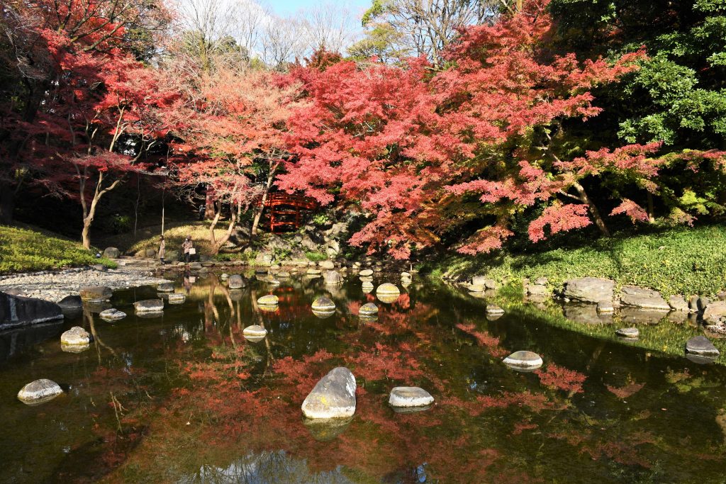 小石川後楽園の紅葉 2020/12/8  空と海と大地と