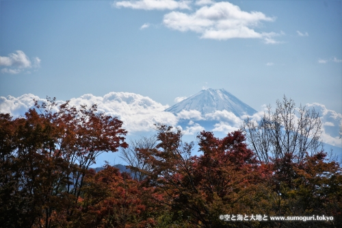 富士と紅葉