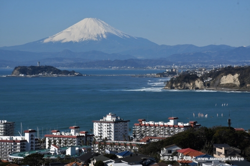 披露山公園より