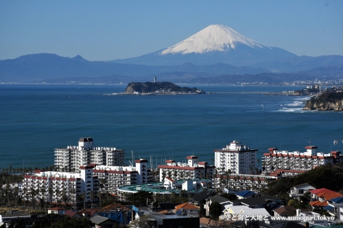 披露山公園より