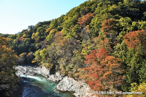 猿橋上流の紅葉。