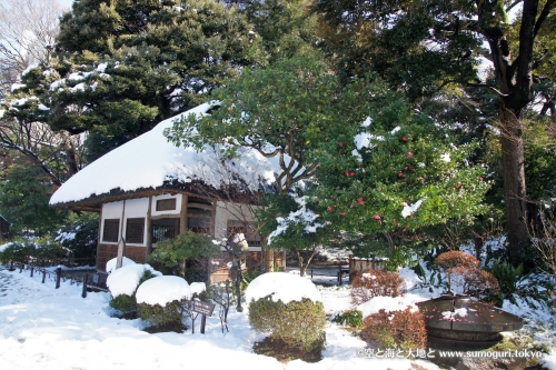 大雪の小石川後楽園