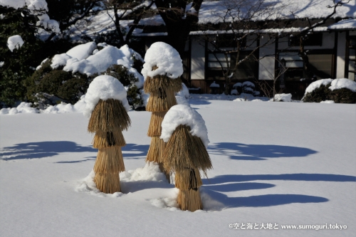 大雪の小石川後楽園