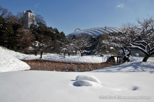 大雪の小石川後楽園