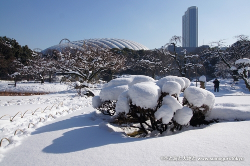 大雪の小石川後楽園