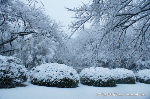 2013/1/14成人式の日　大雪の都心