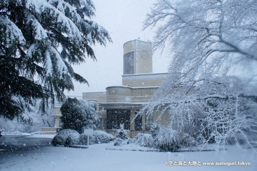 2013/1/14成人式の日　大雪の都心