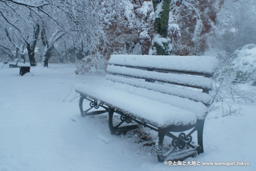 2013/1/14成人式の日　大雪の都心