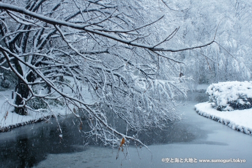 2013/1/14成人式の日　大雪の都心