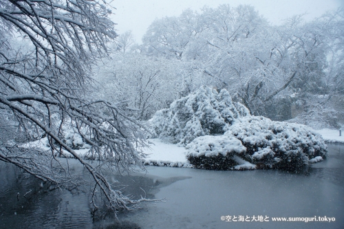 2013/1/14成人式の日　大雪の都心