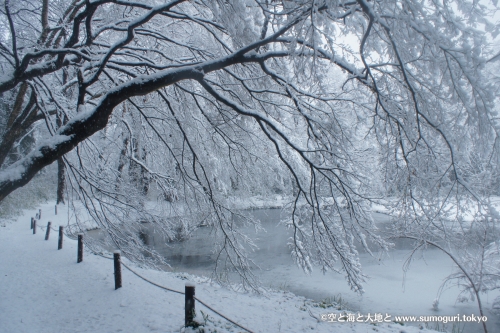 2013/1/14成人式の日　大雪の都心