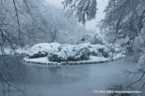 2013/1/14成人式の日　大雪の都心