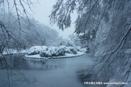 2013/1/14成人式の日　大雪の都心