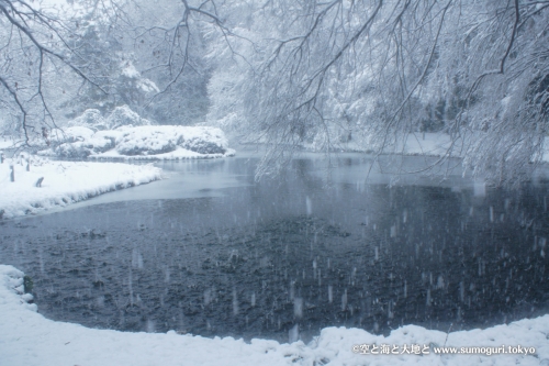 2013/1/14成人式の日　大雪の都心