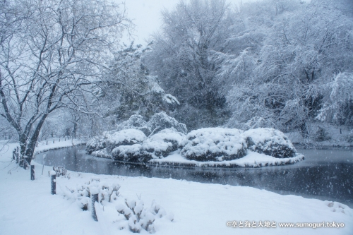 2013/1/14成人式の日　大雪の都心