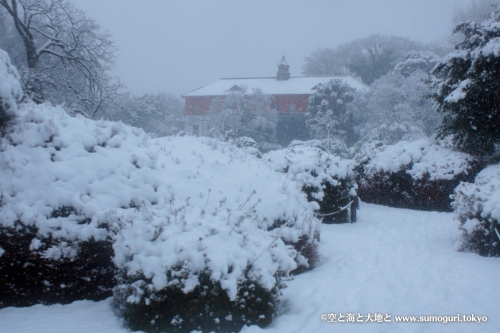 2013/1/14成人式の日　大雪の都心