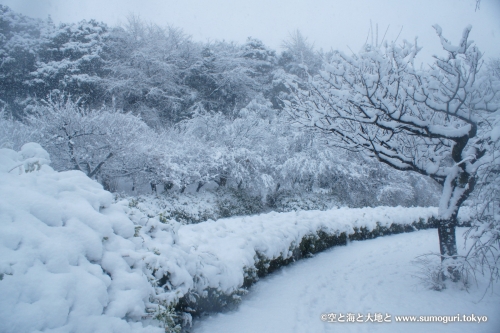 2013/1/14成人式の日　大雪の都心