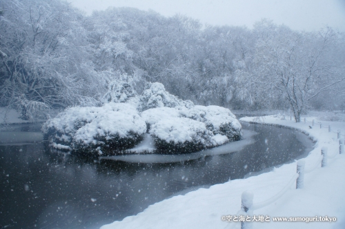 2013/1/14成人式の日　大雪の都心