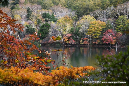 湯ノ湖の紅葉