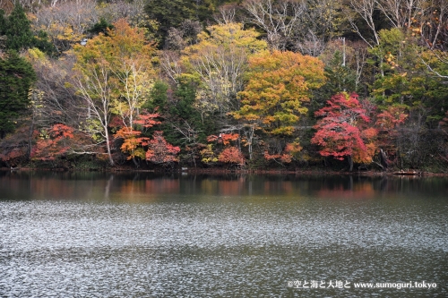 湯ノ湖の紅葉